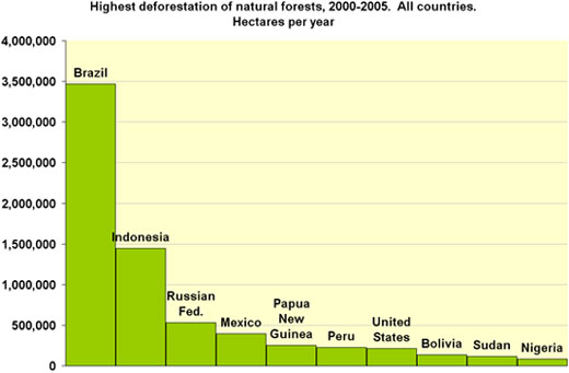 Where does deforestation occur?