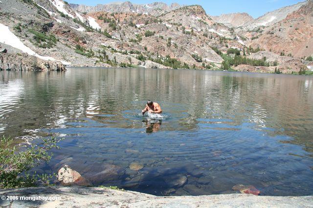 Rhett taking an icy dip in West lake