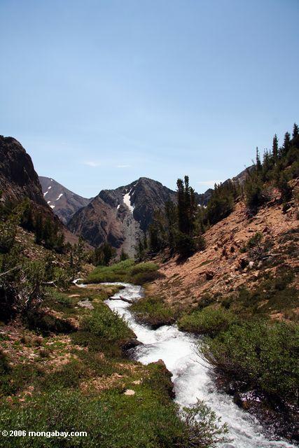 Stream flowing out of Par Value Lake into Green creek canyon