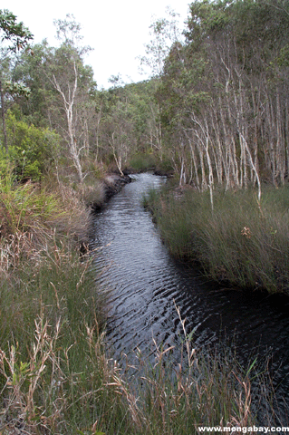 Fraser Fenster Creek Australia