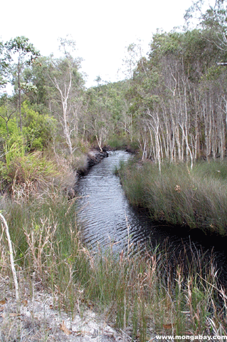 Fraser Fenster Creek Australia
