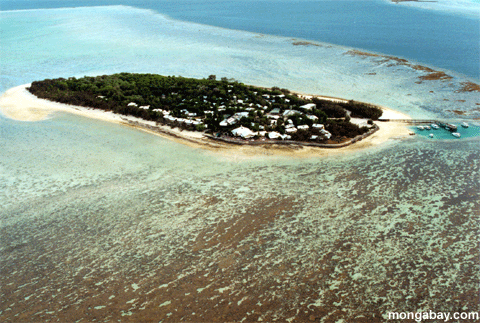 Reiher-Insel