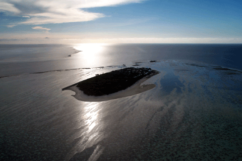 Reiher-Insel