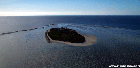 Insel Heron, Australien