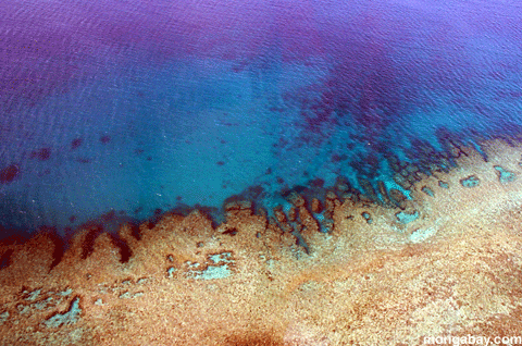 Reef Di Heron, Australia
