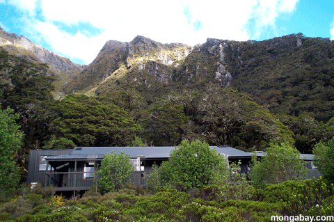 Camp Mckenzie, Nouvelle-Z�lande