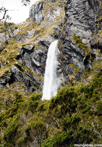 Cachoeira, Zealand Novo