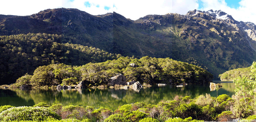 Lago Mckenzie Ancho, Zealand Nuevo