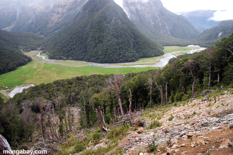 Glissi�re De Terre De Routeburn, Nouvelle-Z�lande