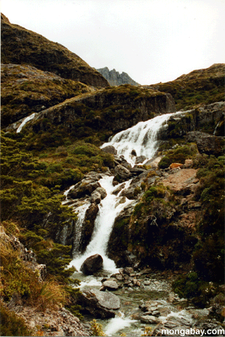 Wasserfall auf dem Routeburn trail