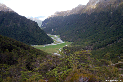 Valle De Routeburn, Zealand Nuevo