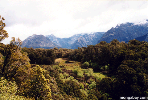 Routeburn 