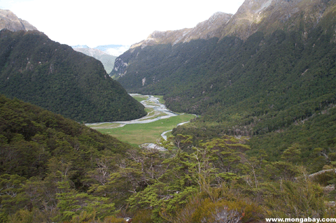 Valle Di Routeburn, La Nuova Zelanda