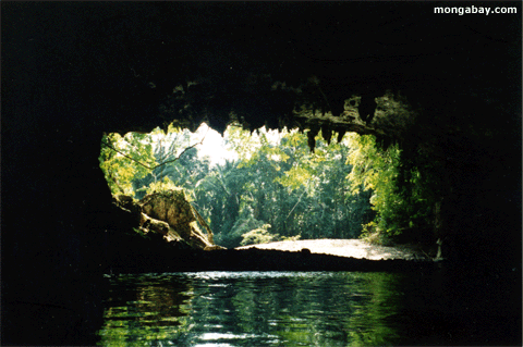 Caverne, Belize