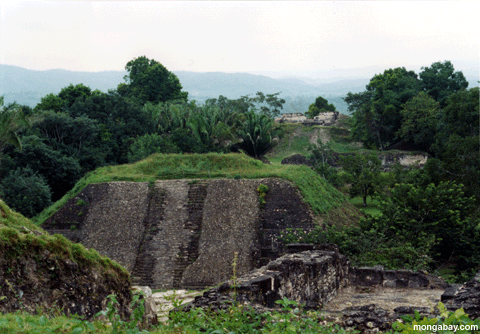 Ruines De Xunantunich, Belize