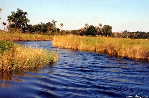 Fleuve De Boro, Botswana