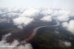 Coastal river in the tropical forest of Gabon