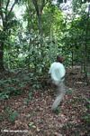 Ecotourist guide walking through the rainforest of Gabon