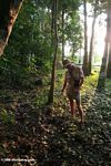 Ecotourist guide in the rainforest