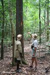 Guides examining elephant tusk damage to a rain forest tree