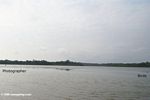 Wildlife photographer in Loango lagoon