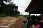Truck passenger's view of a logging road in Gabon
