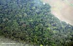 Aerial view of Gabonese rainforest