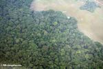 Aerial view of Gabonese rain forest