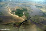 Swamp, flooded savanna, and forest in coastal Gabon