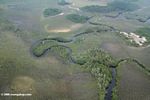 Flooded savanna in Gabon