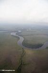 Meandering river in coastal Gabon