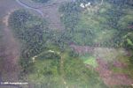 Forest degradation in Gabon