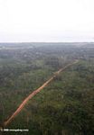 Airplane view of forest road in Gabon