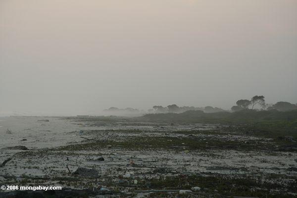 Dunstiger Strand am Sonnenuntergang in Gabun