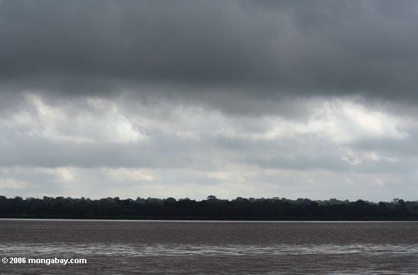 Lagoa circunvizinha da floresta de chuva em Gabon