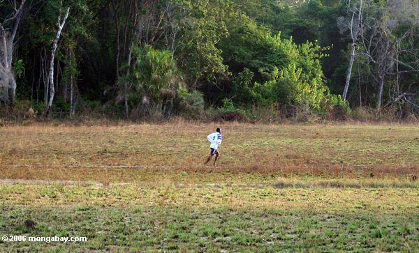 ガボンのサッカー選手は、雨の森の中で練習を実行している