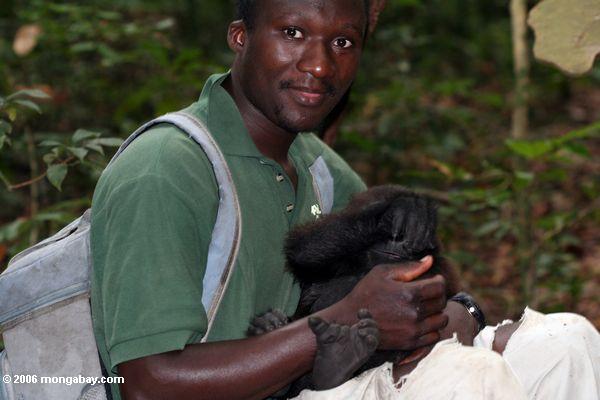 Gorillawärter mit Säuglingsgorilla
