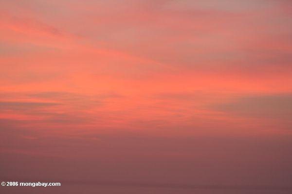 Rosafarbener Sonnenuntergang
