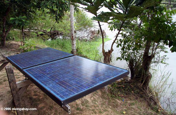 Solarverkleidungen im Dschungel