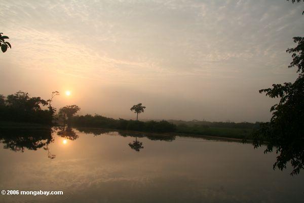 Sonnenaufgang über dem Regenwald Loango des Nationalparks in Gabun
