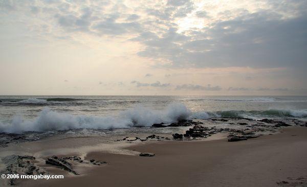 Wellen, die auf einem Strand in Gabun an Sonnenuntergang Pint