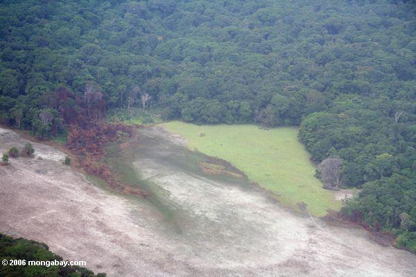 Luftaufnahme der Waldbeschädigung der unbekannten Ermittlung in Gabun