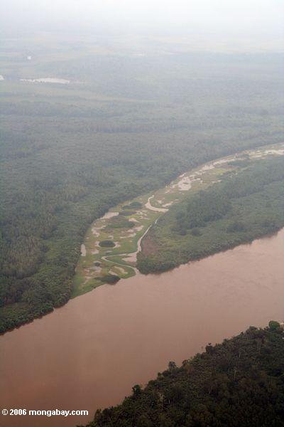 Swampy Wiese, die einen rainforest Fluß in Gabun Libreville