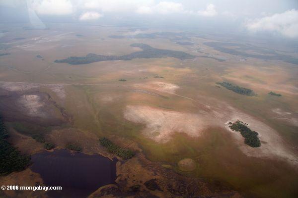 Luftaufnahme der Savanne und der Sumpfgebiete in Gabun