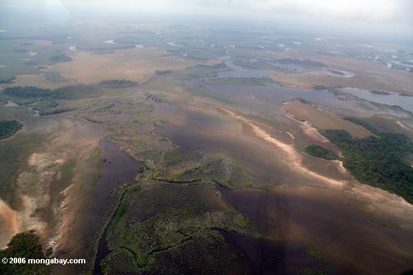 Luftaufnahme des Sumpfs, der überschwemmten Savanne und des Waldes in Küstengabun