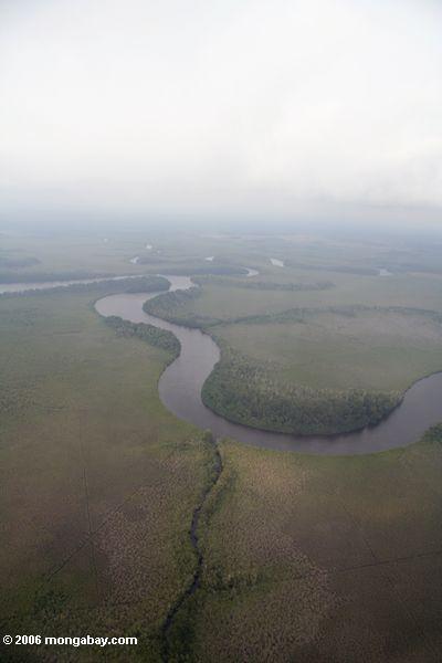 Schlängelnder Fluß in Küstengabun