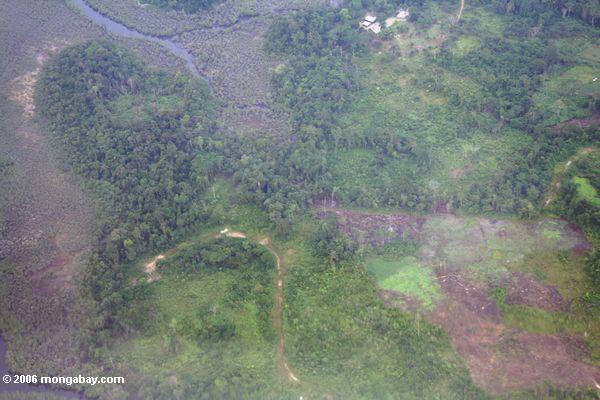Waldverminderung in Gabun