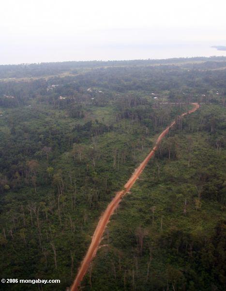 Luftaufnahme des Waldwegs in Gabun