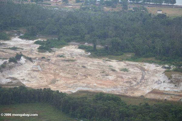 Flache Ansicht der Abholzung in Gabun