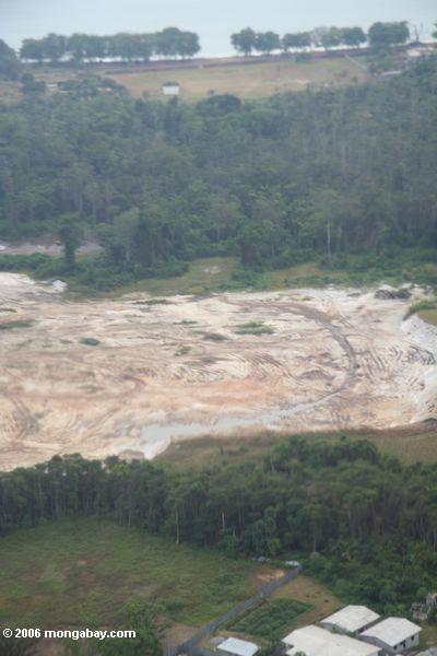 ガボン共和国の森林破壊